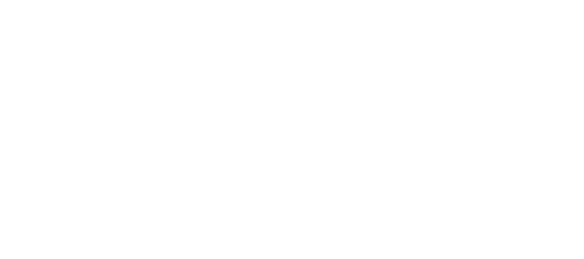 Alexander Co Logo (reverse)